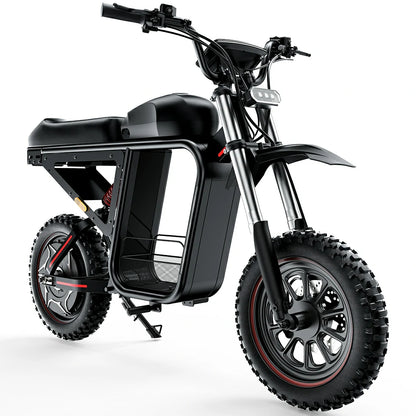 iScooter DX5 Max Electric Scooter