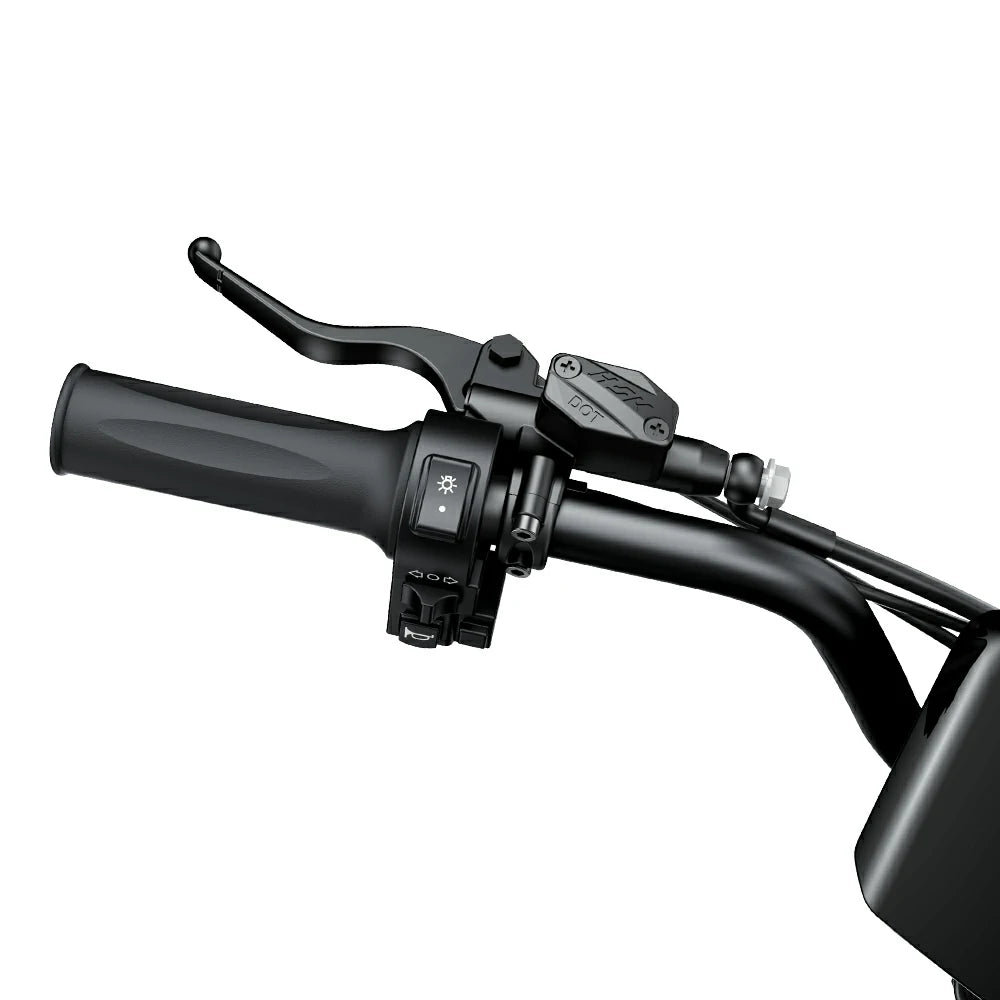iScooter DX5 Max Electric Scooter