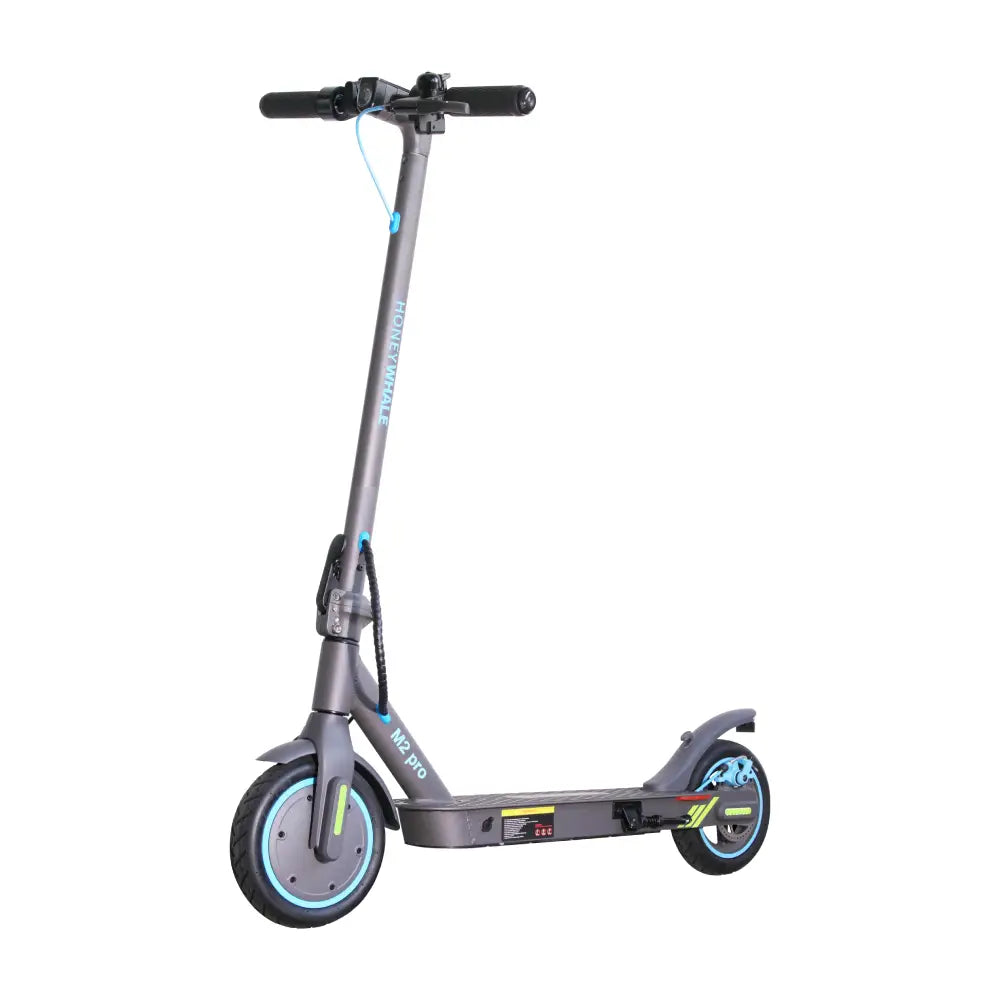 Honey Whale M2 Pro Electric Scooter