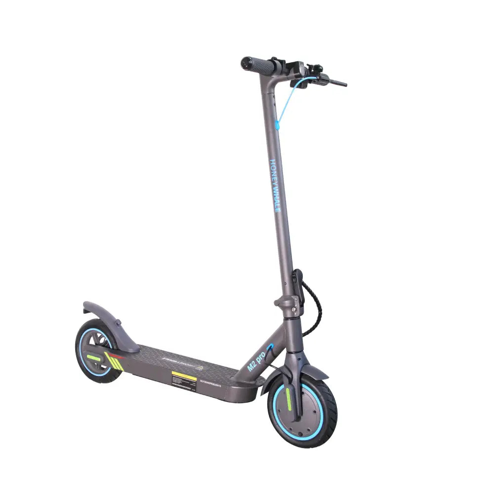 Honey Whale M2 Pro Electric Scooter