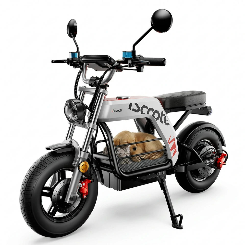Iscooter DX5 Pro Electric Scooter
