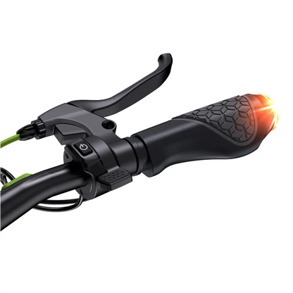 Isinwheel S10 Max Electric Scooter
