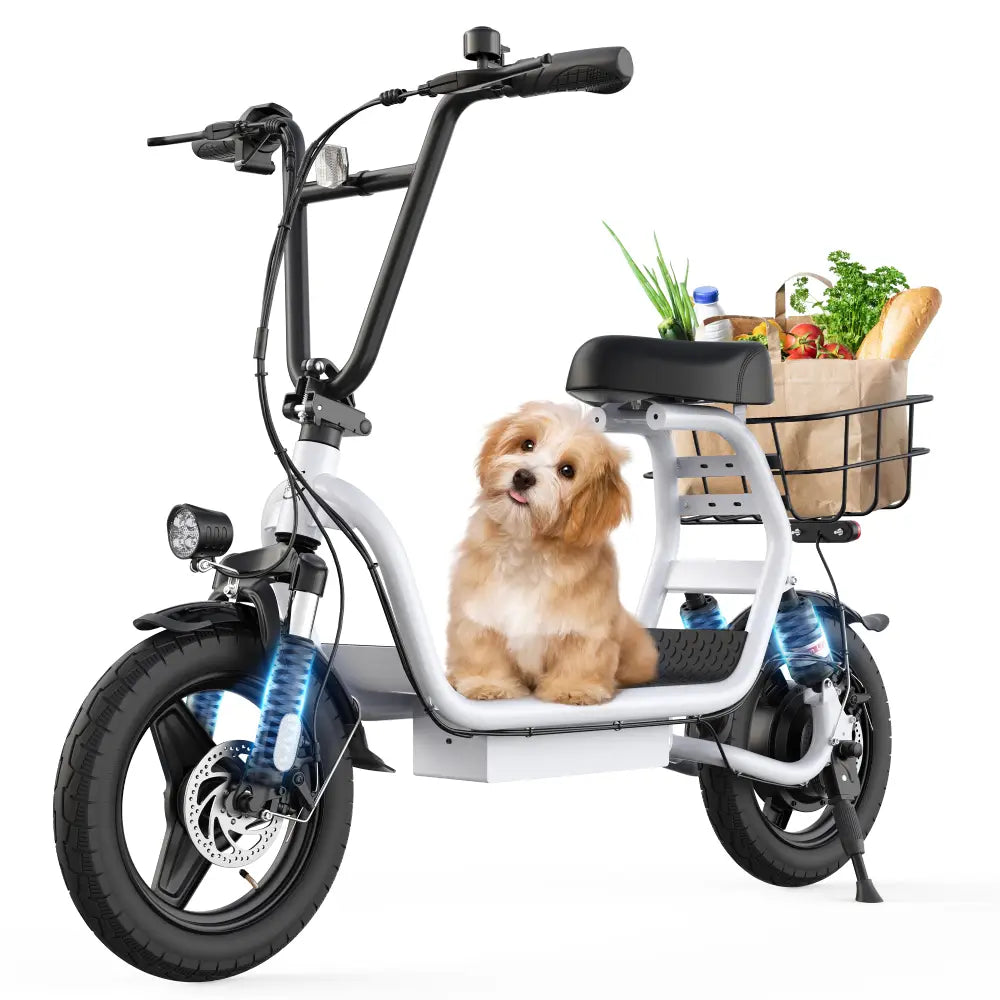 Varun P1 Electric Scooter