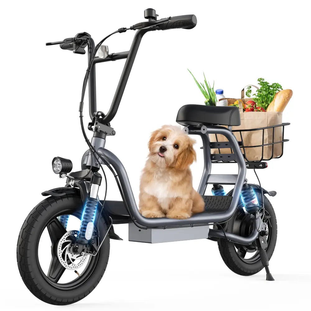 Varun P1 Electric Scooter