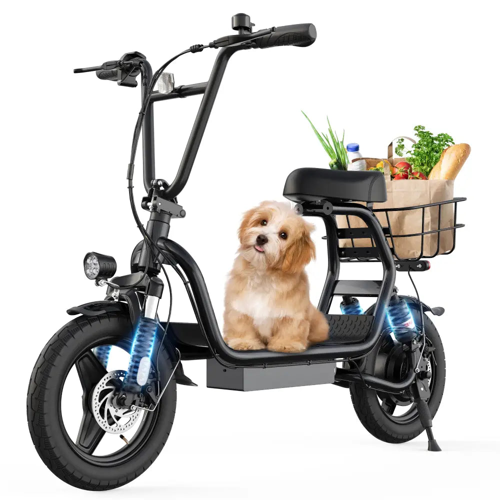 Varun P1 Electric Scooter