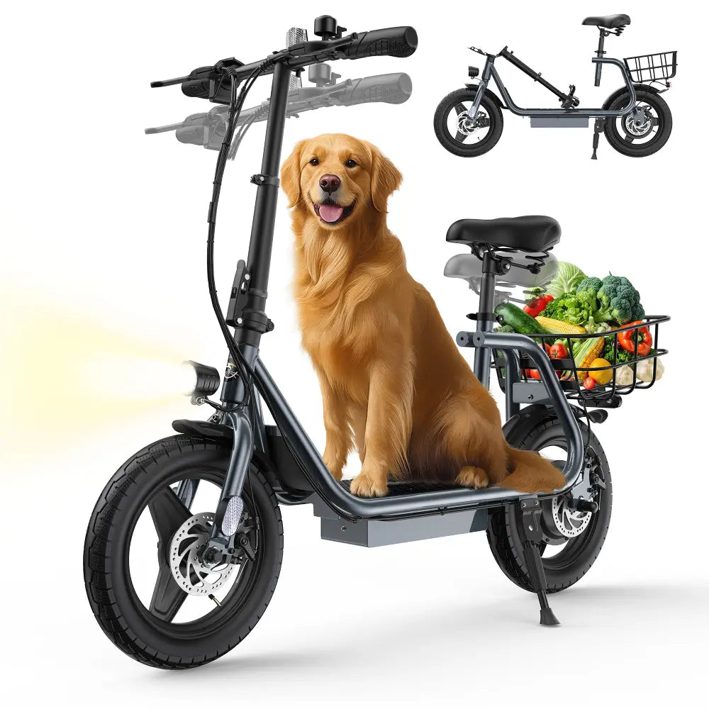 Varun P2 Electric Scooter