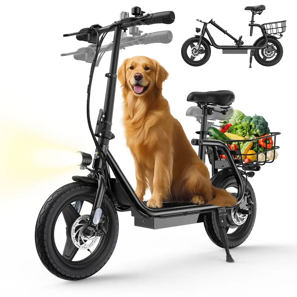 Varun P2 Electric Scooter