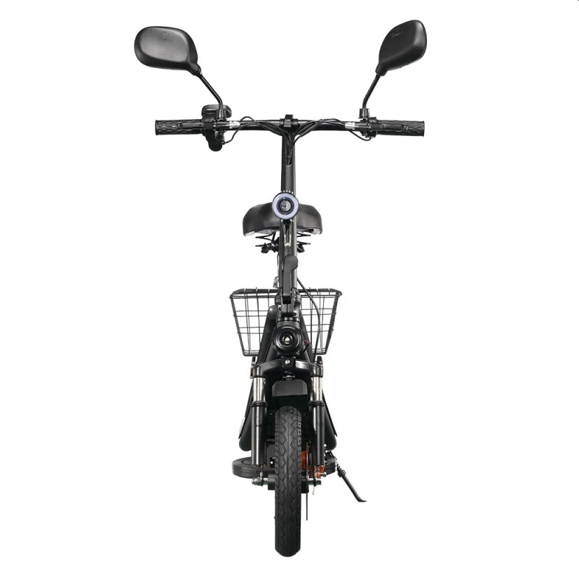 TWOFISH M5 PRO-E Electric Scooter