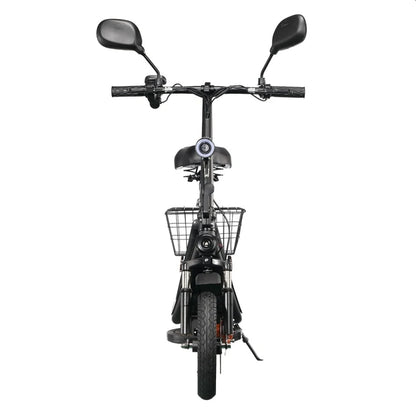 TWOFISH M5 PRO-E Electric Scooter