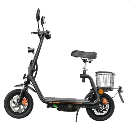TWOFISH M5 PRO-E Electric Scooter