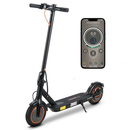 TWOFISH V1 MAX Electric Scooter