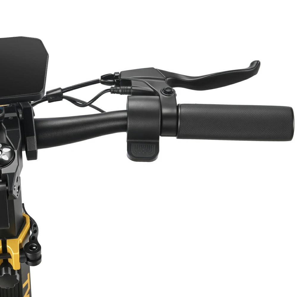 TWOFISH V2 MAX Electric Scooter