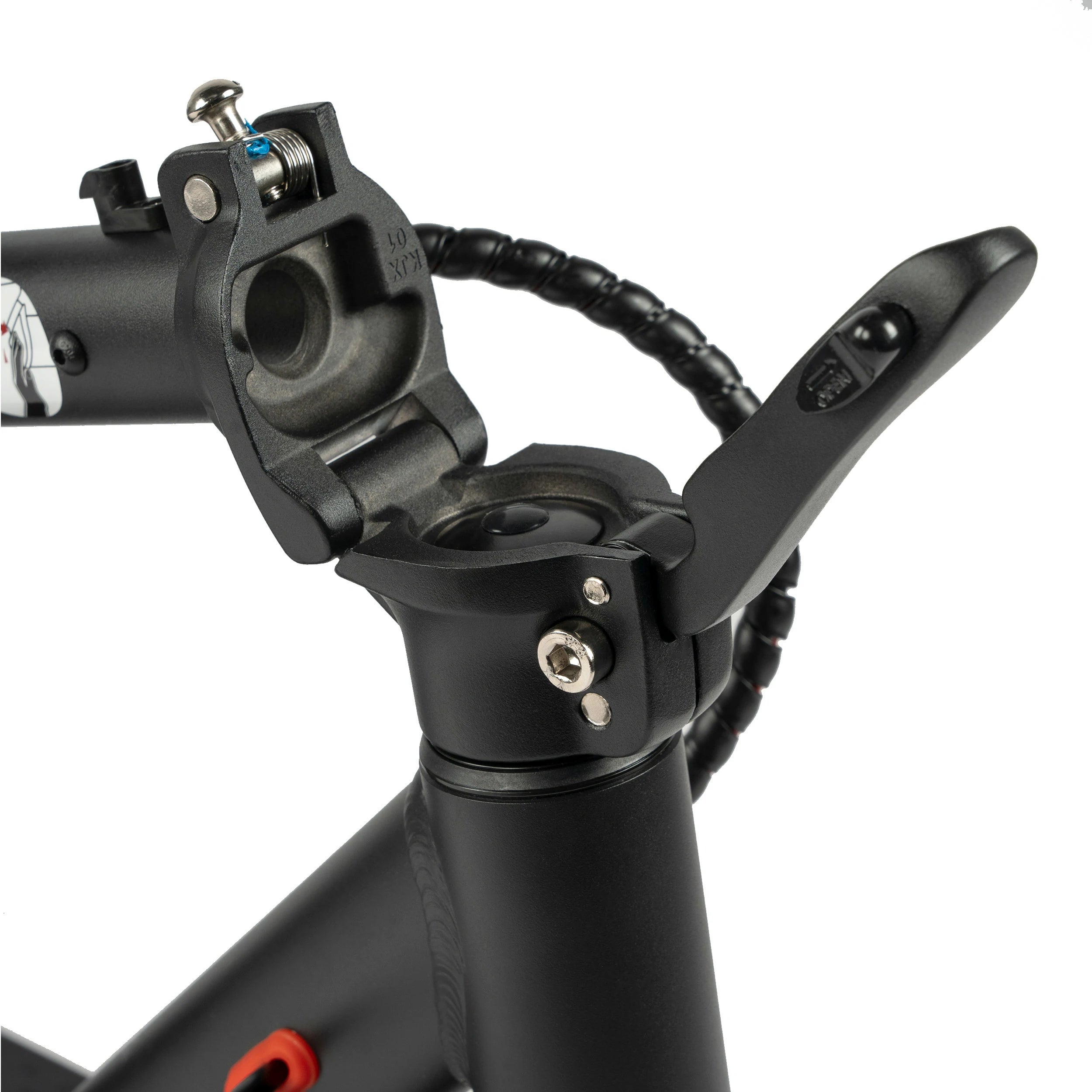 Leawin E9T Electric Scooter